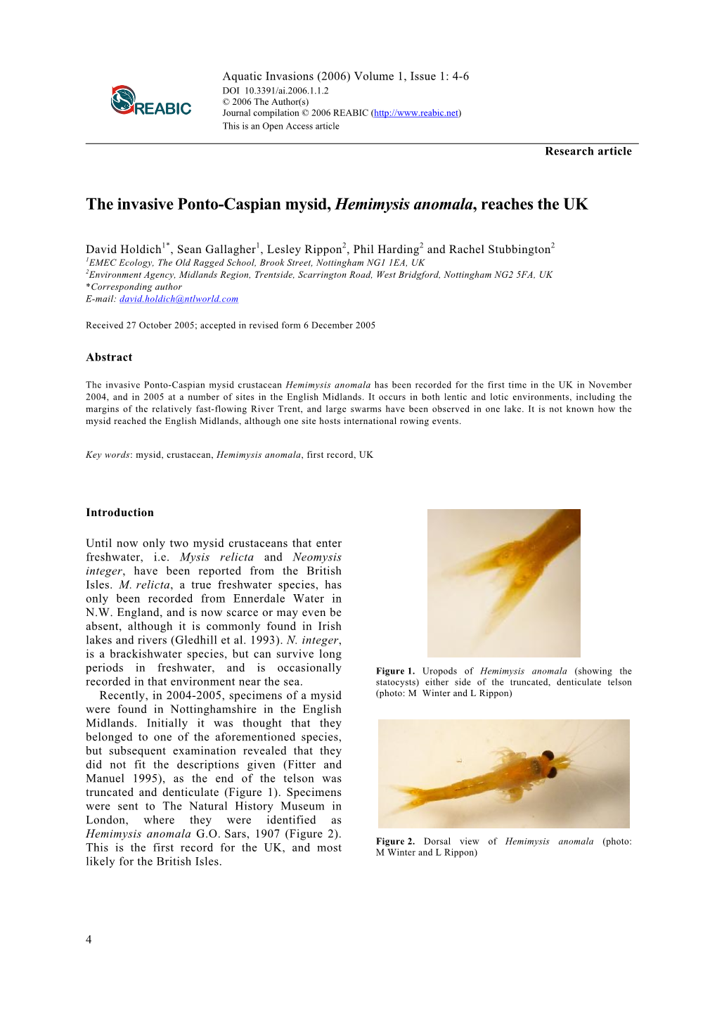 The Invasive Ponto-Caspian Mysid, Hemimysis Anomala, Reaches the UK