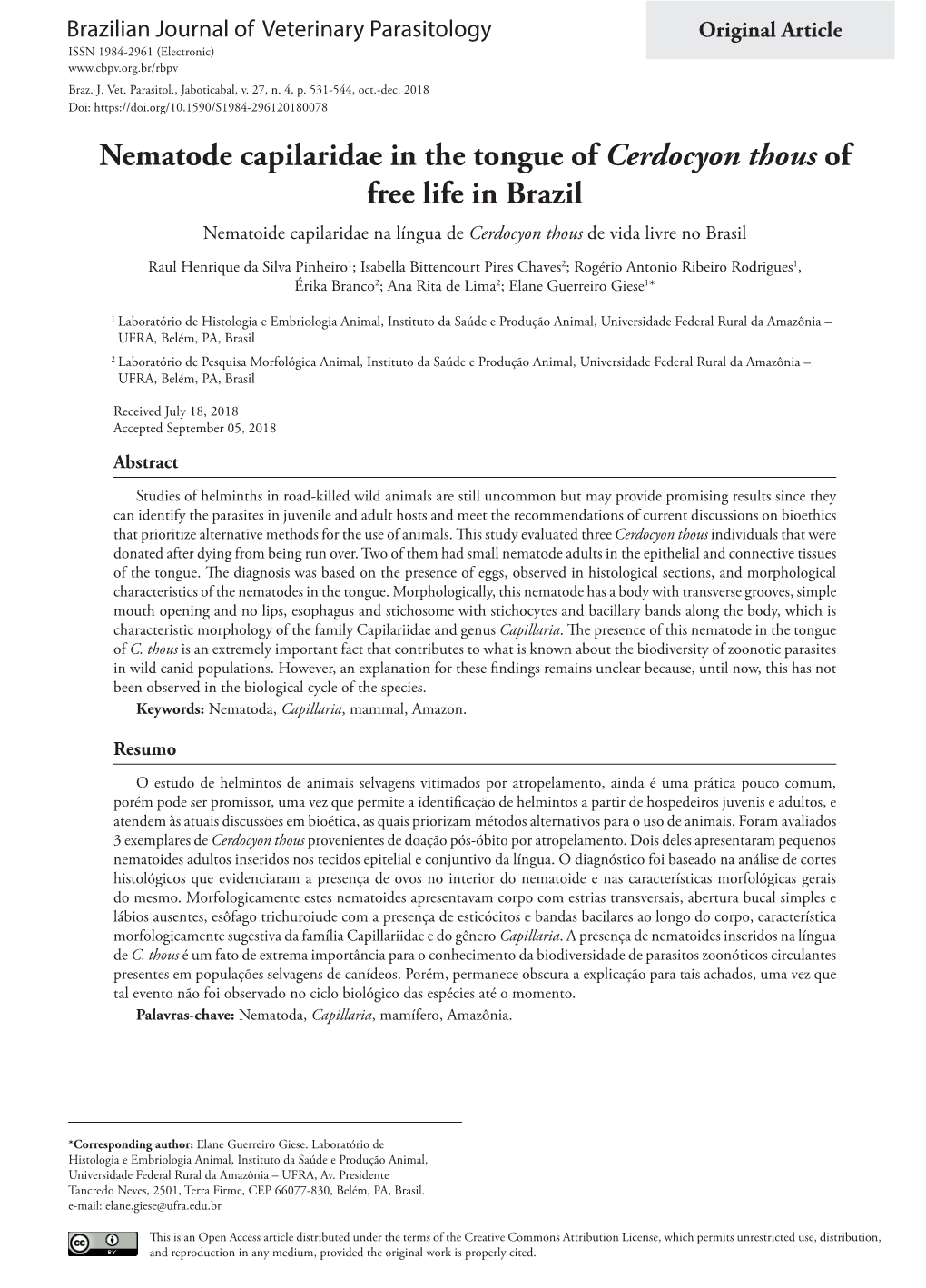 Nematode Capilaridae in the Tongue of Cerdocyon Thous of Free Life in Brazil