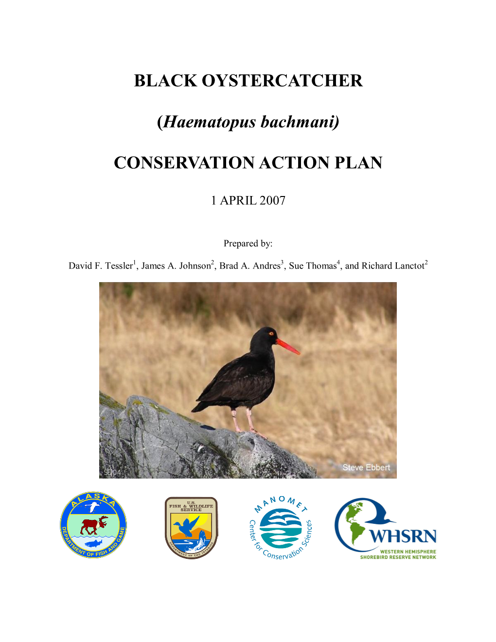 Black Oystercatcher (Haematopus Bachmani) Conservation Action Plan