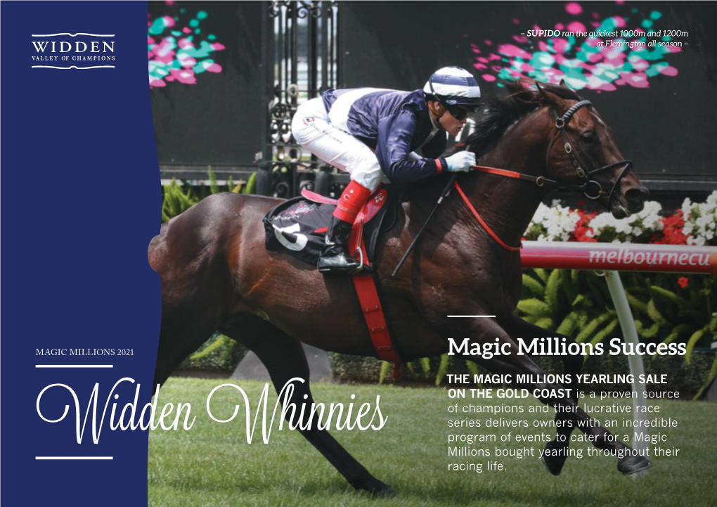 Magic Millions Success