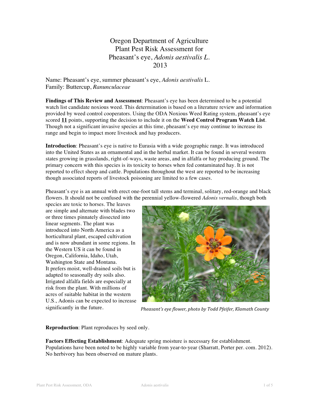 Oregon Department of Agriculture Plant Pest Risk Assessment for Pheasant’S Eye, Adonis Aestivalis L