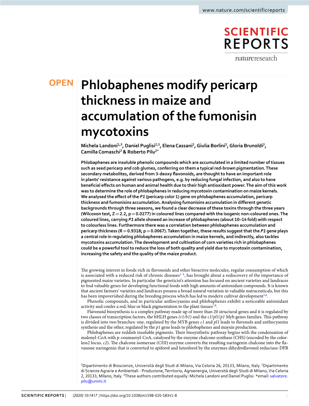 Phlobaphenes Modify Pericarp Thickness in Maize And