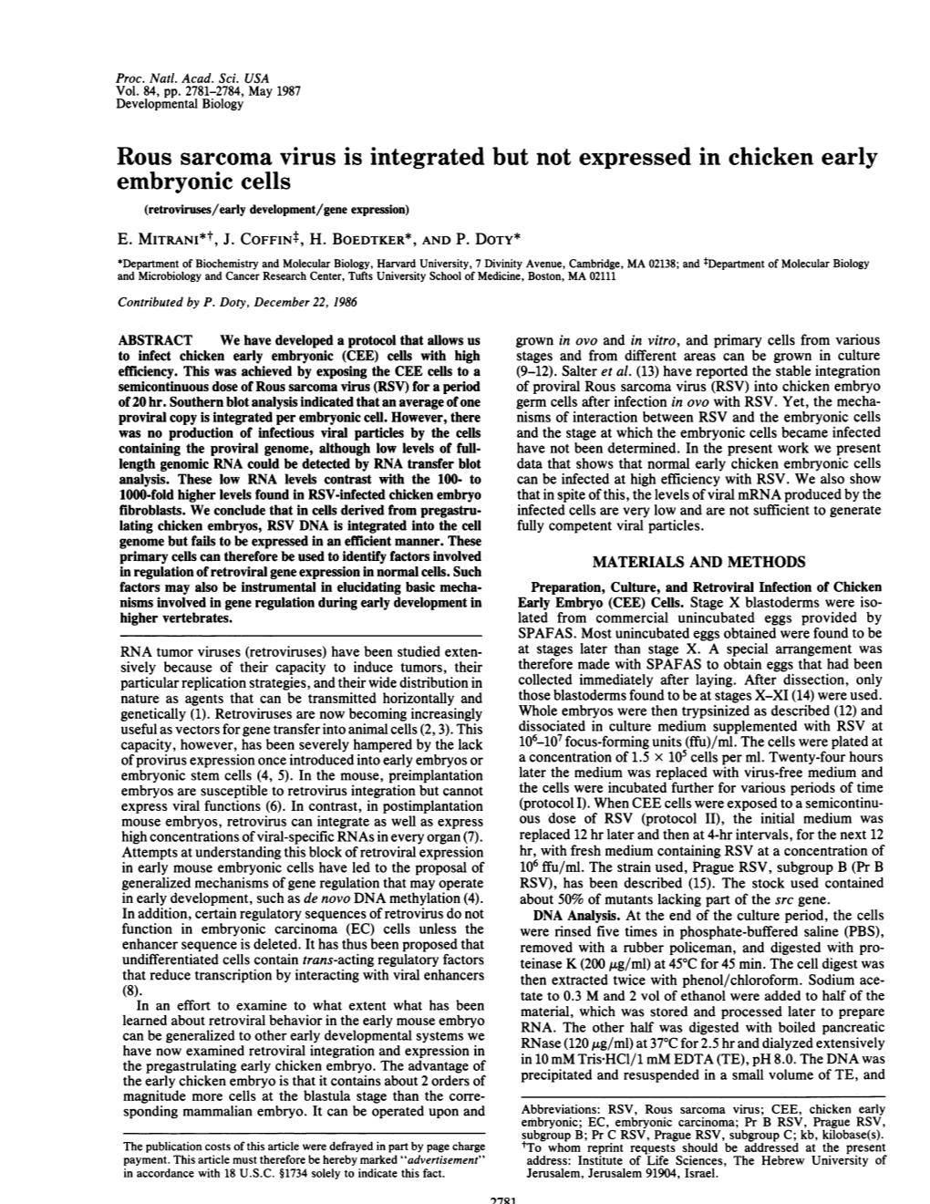 Rous Sarcoma Virus Is Integrated but Not Expressed in Chicken Early Embryonic Cells (Retroviruses/Early Development/Gene Expression) E