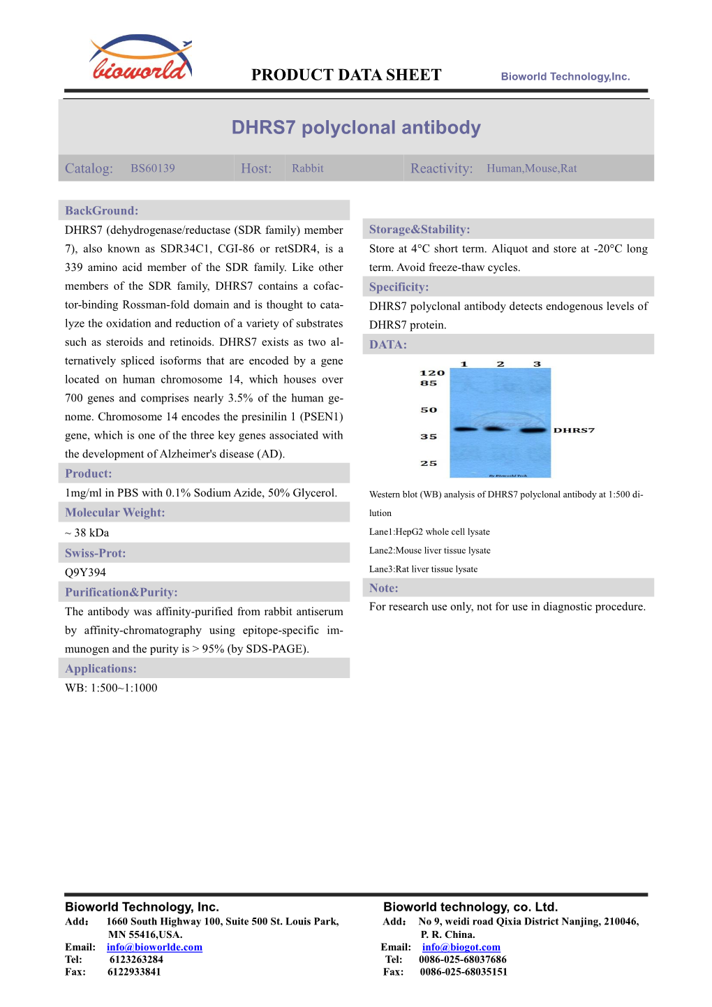 DHRS7 Polyclonal Antibody