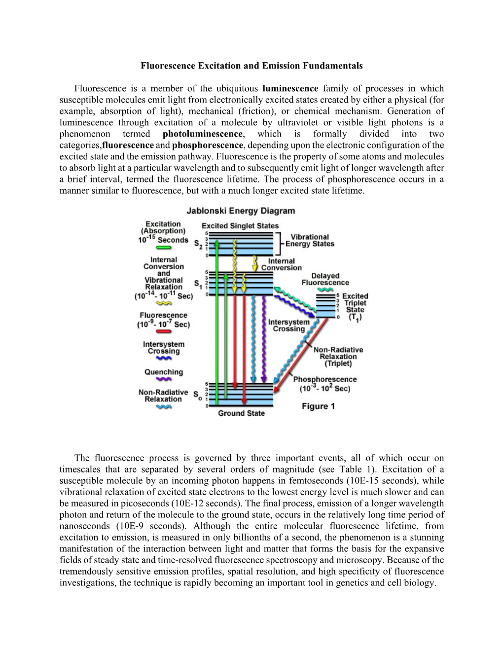 Fluorescence Excitation and Emission Fundamentals