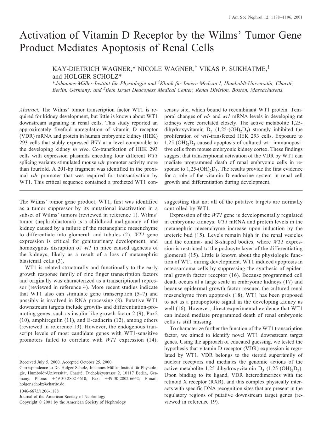 Activation of Vitamin D Receptor by the Wilms' Tumor Gene Product