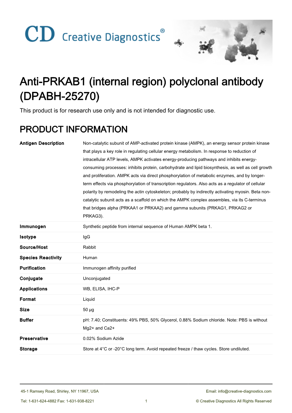 Anti-PRKAB1 (Internal Region) Polyclonal Antibody (DPABH-25270) This Product Is for Research Use Only and Is Not Intended for Diagnostic Use
