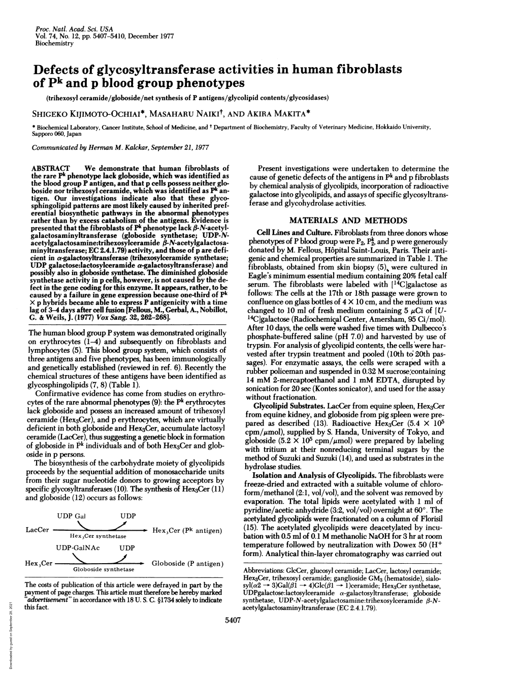 Defects of Glycosyltransferase Activities in Human Fibroblasts of Pk and P Blood Group Phenotypes