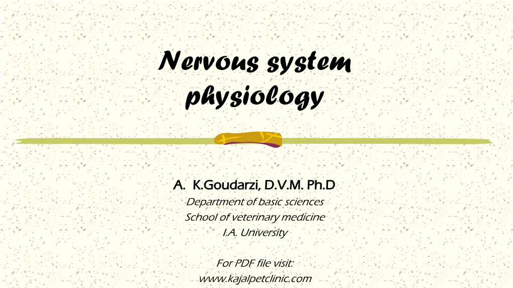 Nervous System Physiology