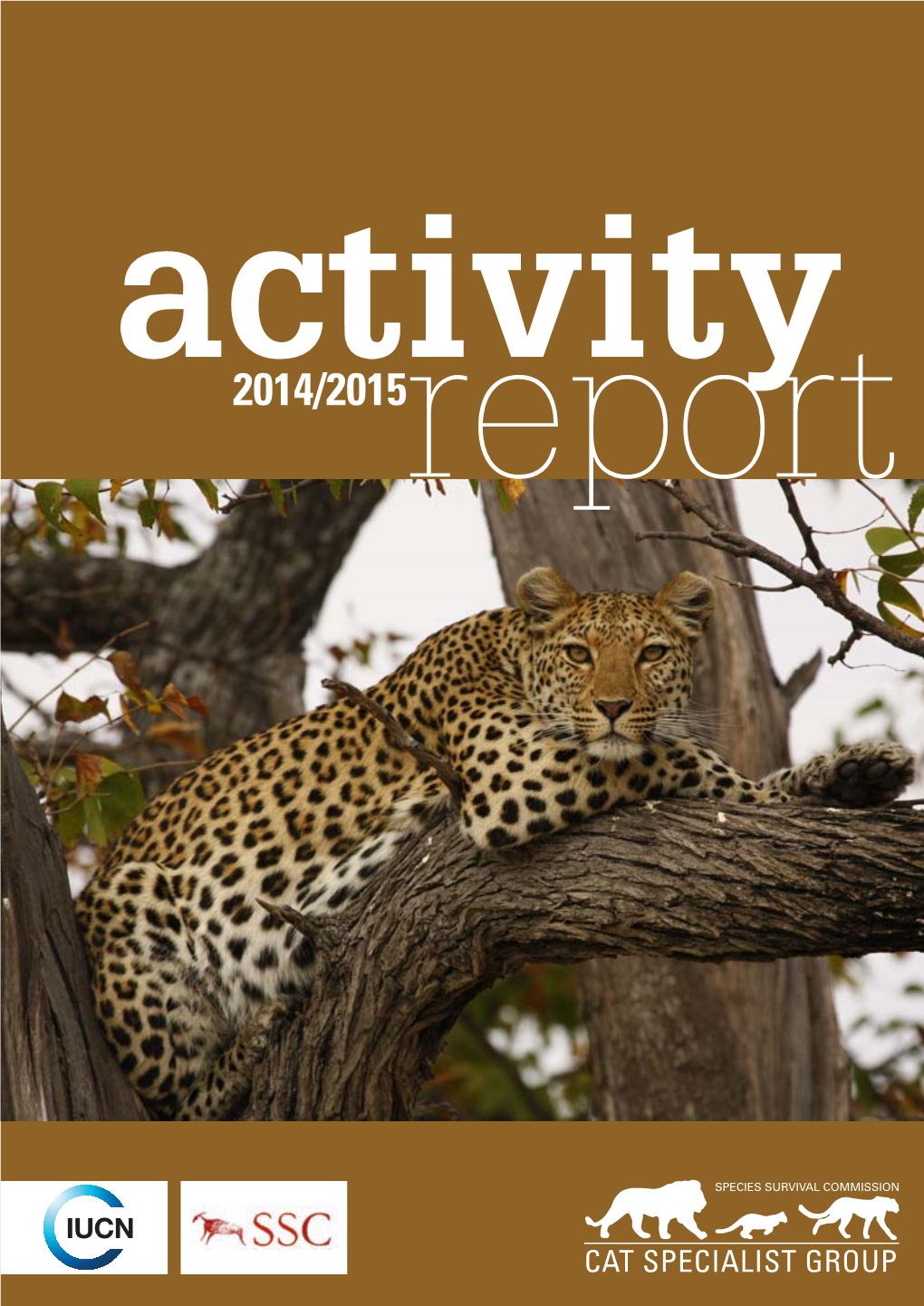 Activity Report 2014/2015 02