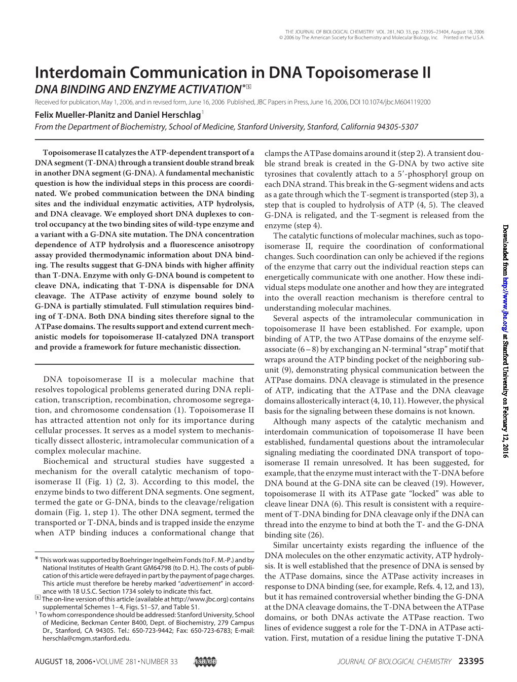 Interdomain Communication in DNA Topoisomerase II