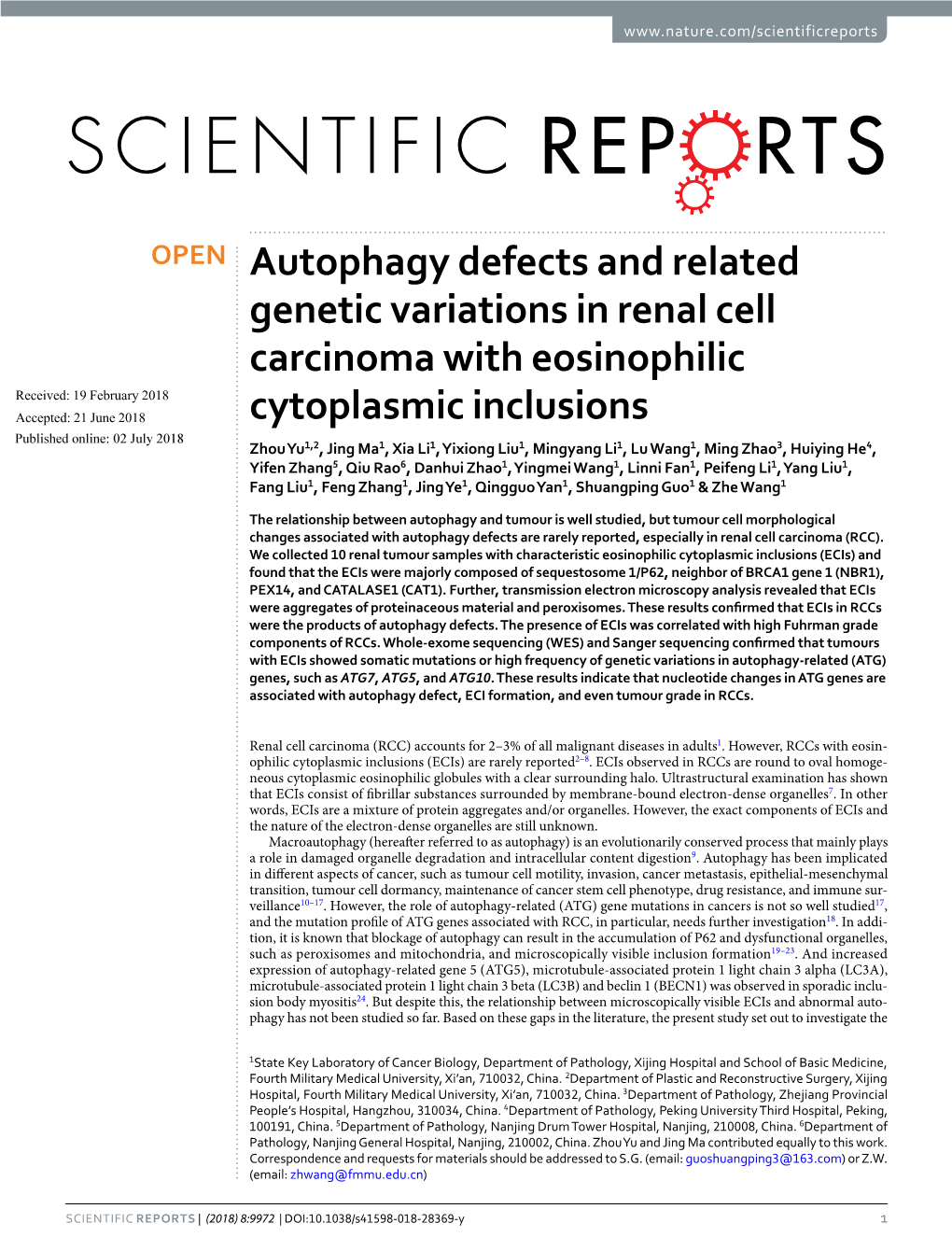 Autophagy Defects and Related Genetic Variations in Renal Cell Carcinoma