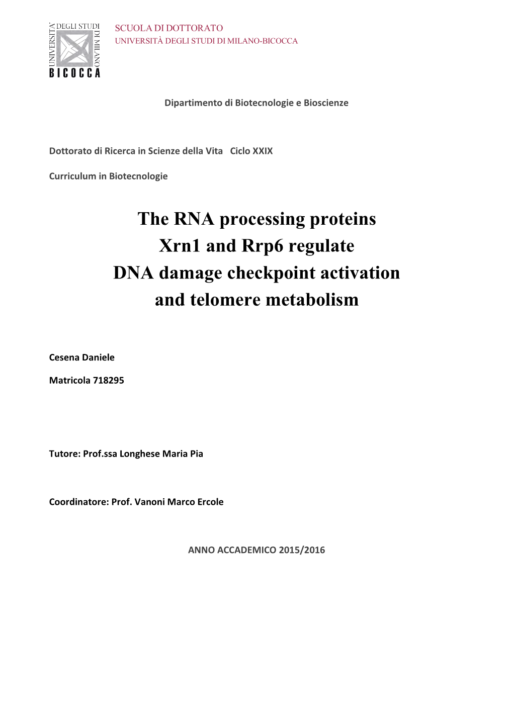 The RNA Processing Proteins Xrn1 and Rrp6 Regulate DNA Damage Checkpoint Activation and Telomere Metabolism