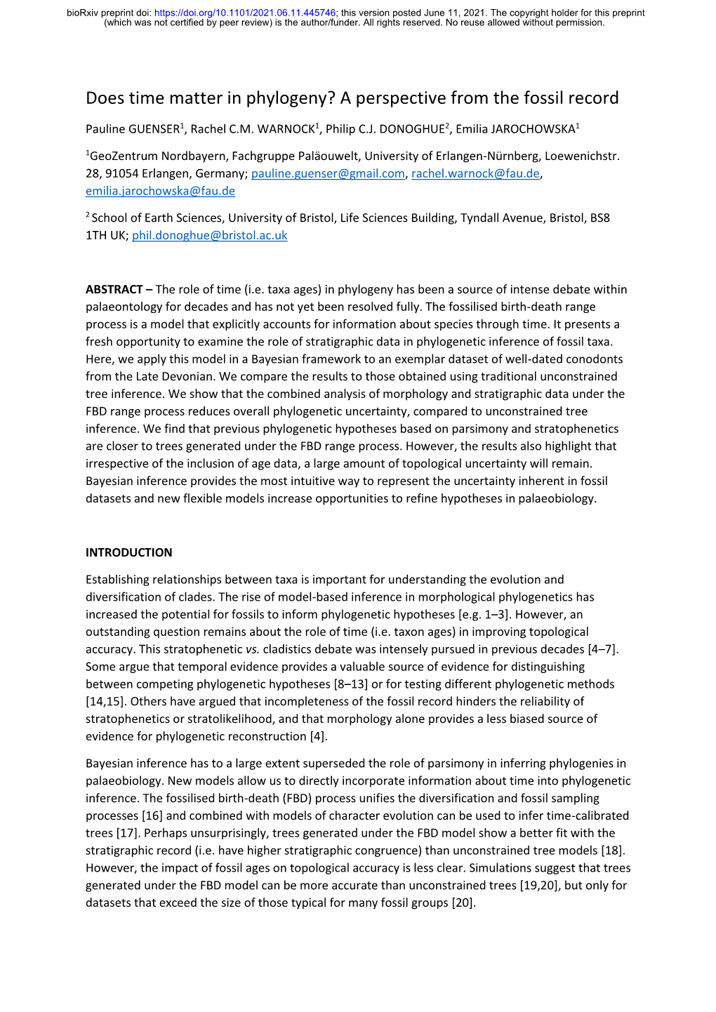 Does Time Matter in Phylogeny? a Perspective from the Fossil Record