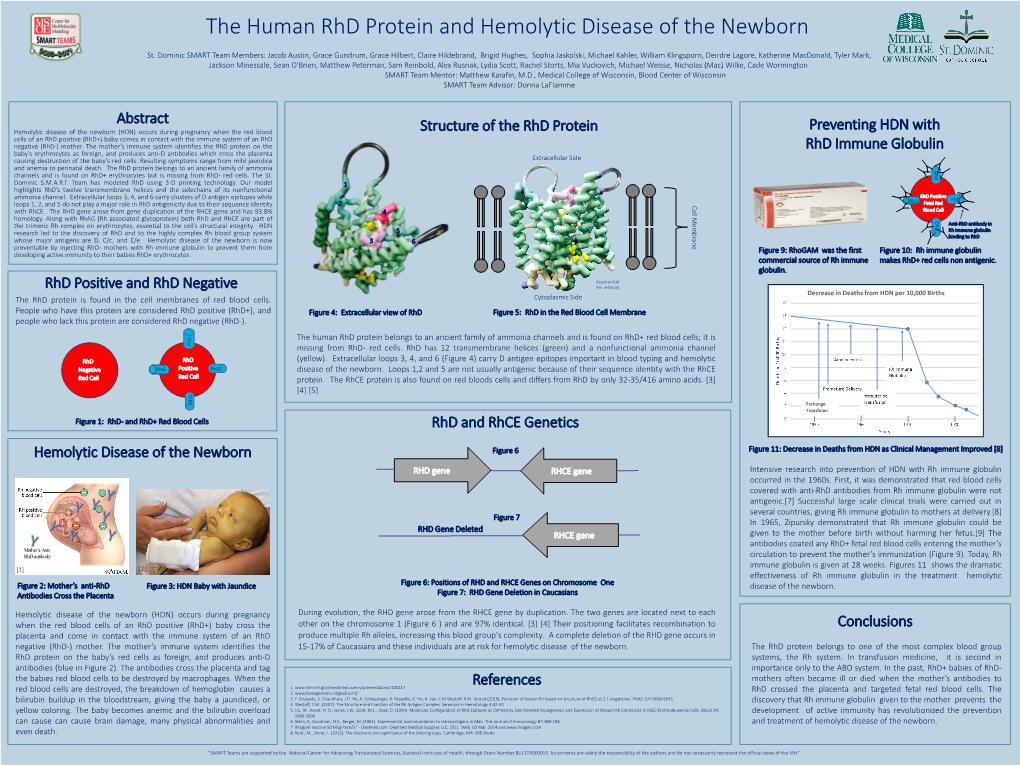 The Rhd Protein Cells of an Rhd Positive (Rhd+) Baby Comes in Contact with the Immune System of an Rhd Negative (Rhd-) Mother