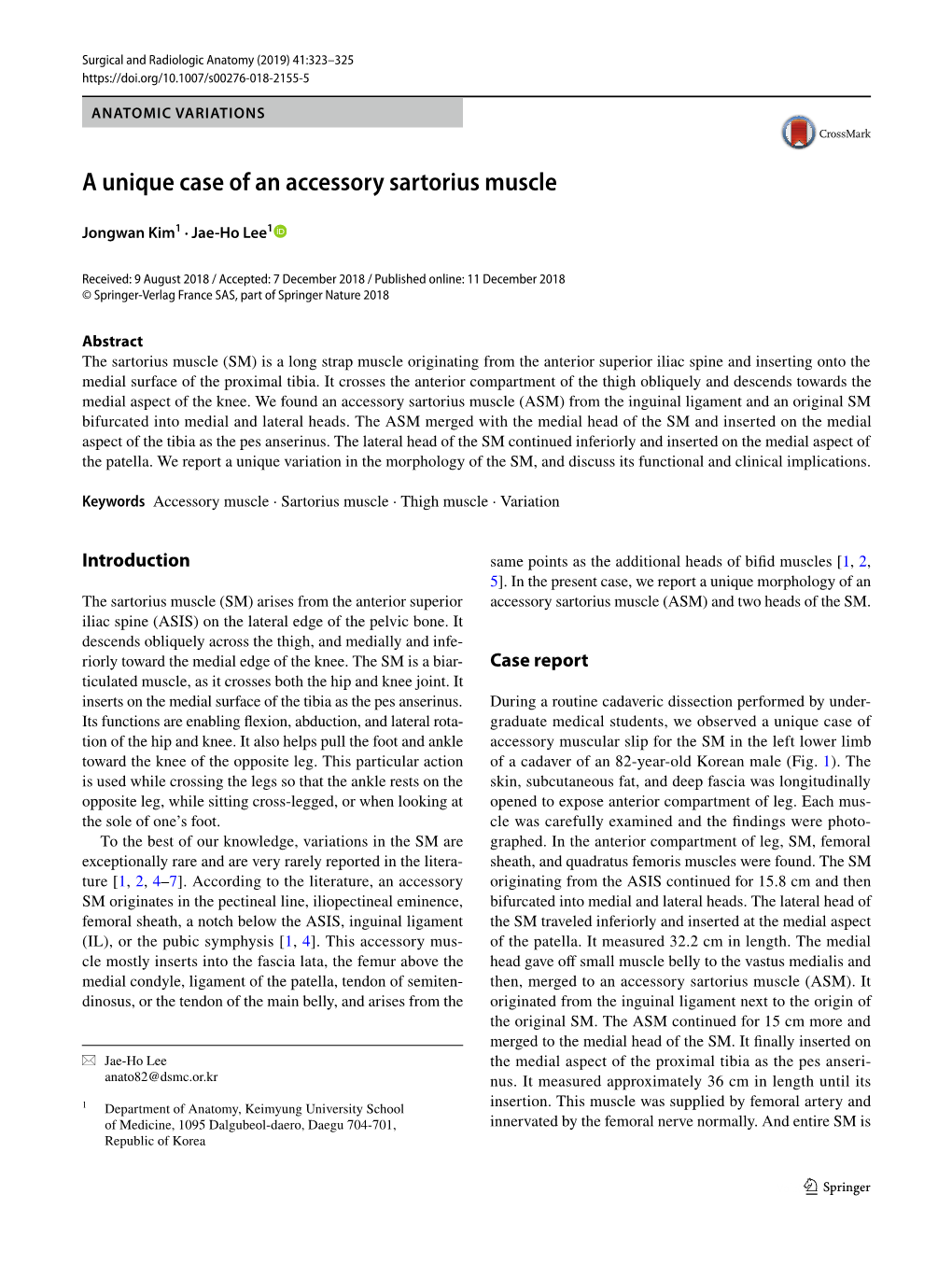 A Unique Case of an Accessory Sartorius Muscle