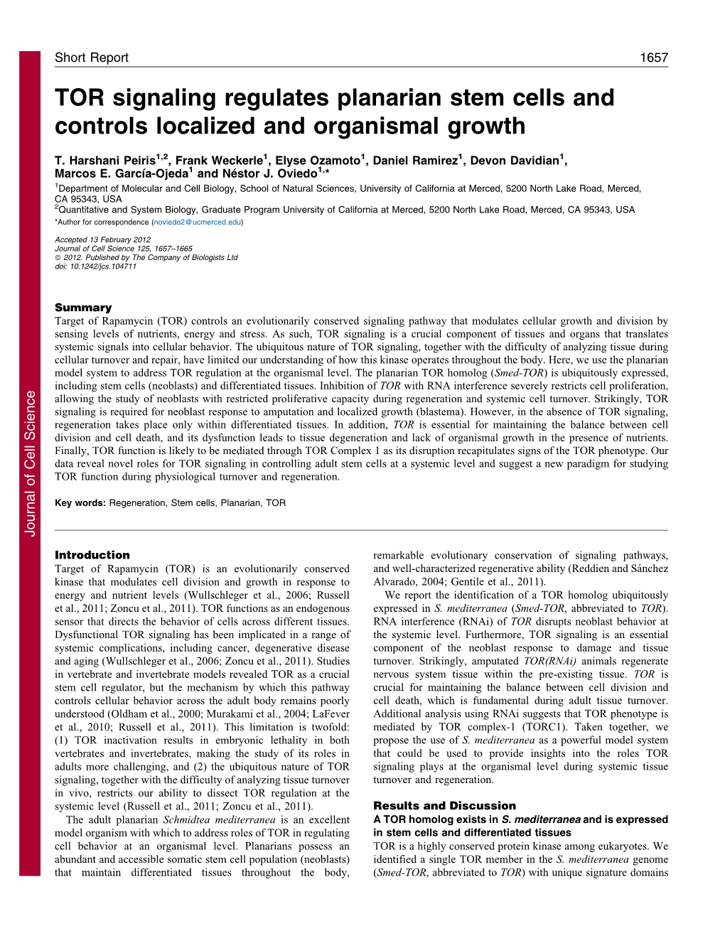 TOR Signaling Regulates Planarian Stem Cells and Controls Localized and Organismal Growth