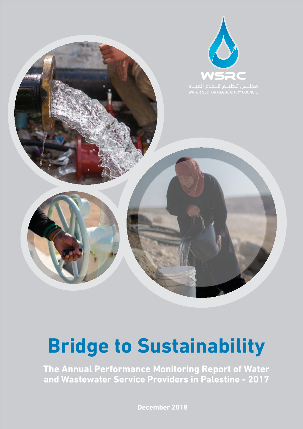 Bridge to Sustainability the Annual Performance Monitoring Report of Water and Wastewater Service Providers in Palestine - 2017