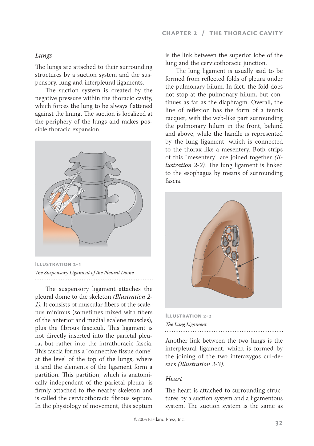 32 Chapter 2 / the Thoracic Cavity