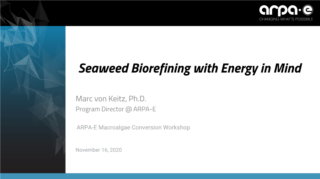 Seaweed Biorefining with Energy in Mind