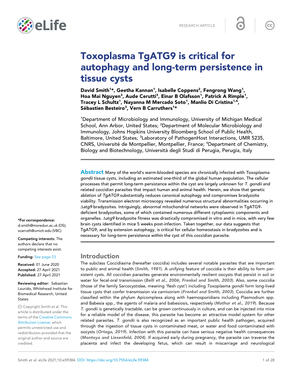 Toxoplasma Tgatg9 Is Critical for Autophagy and Long-Term