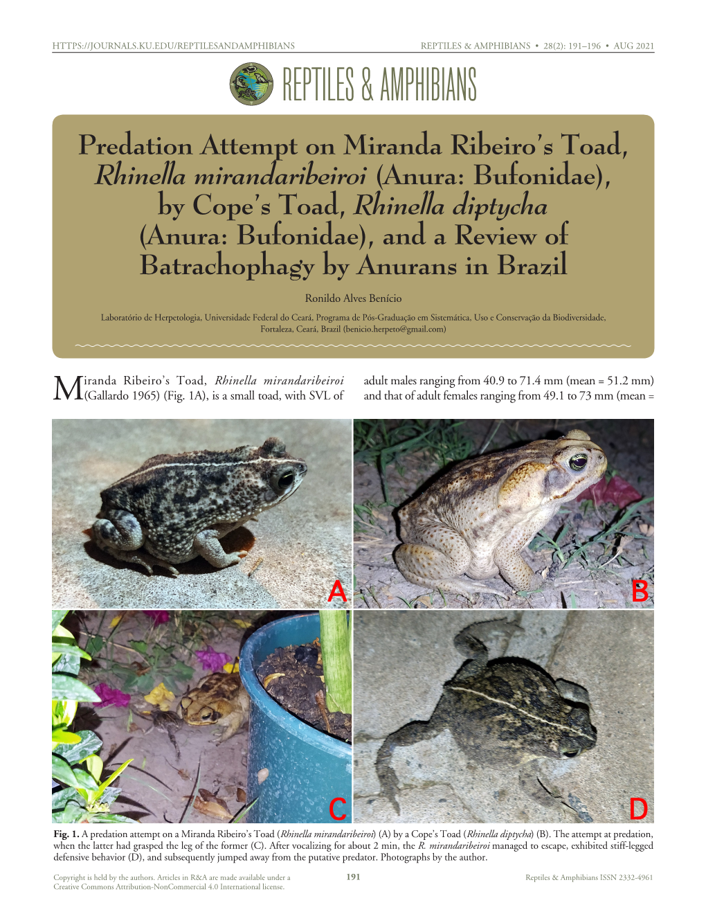 Cfreptiles & Amphibians