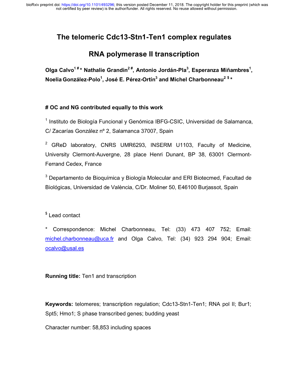 The Telomeric Cdc13-Stn1-Ten1 Complex Regulates RNA