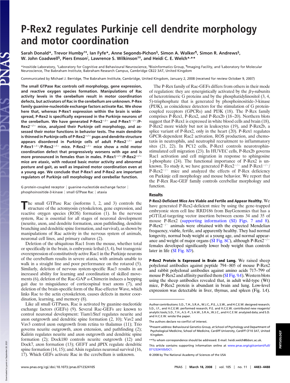 P-Rex2 Regulates Purkinje Cell Dendrite Morphology and Motor Coordination