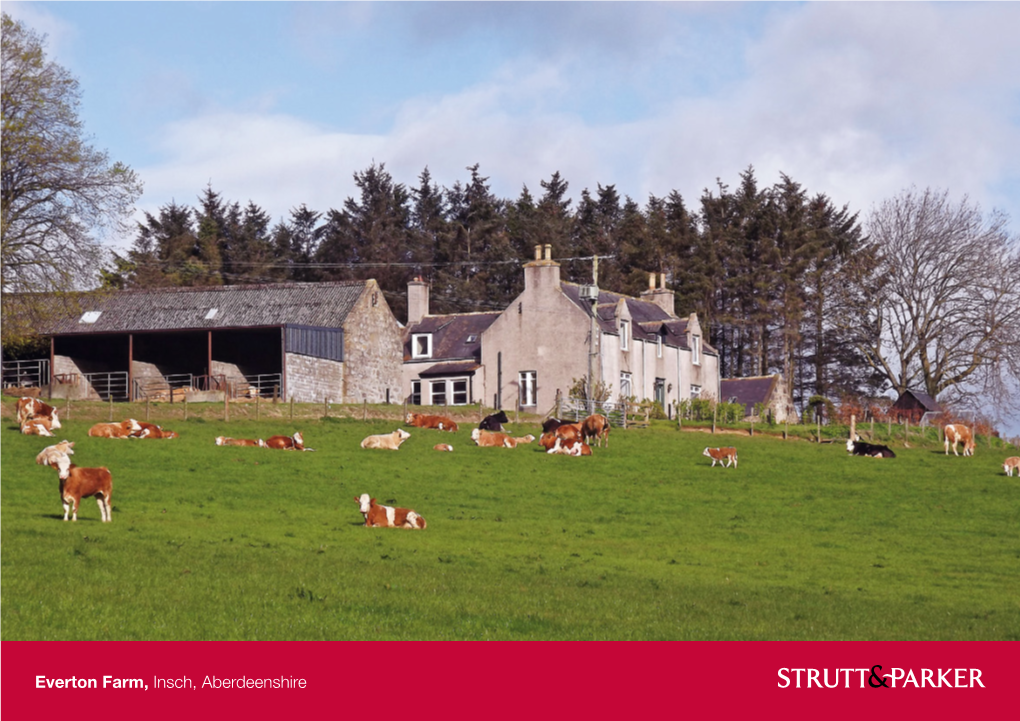 Everton Farm, Insch, Aberdeenshire