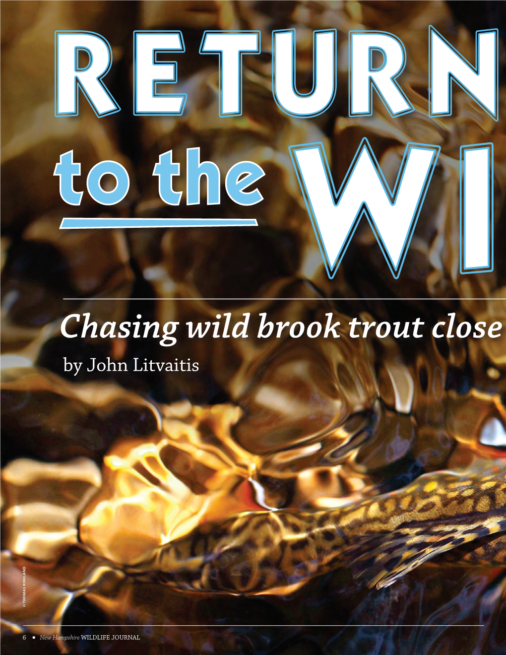 Chasing Wild Brook Trout Close to Home by John Litvaitis © THOMAS THOMAS © KIRKLAND