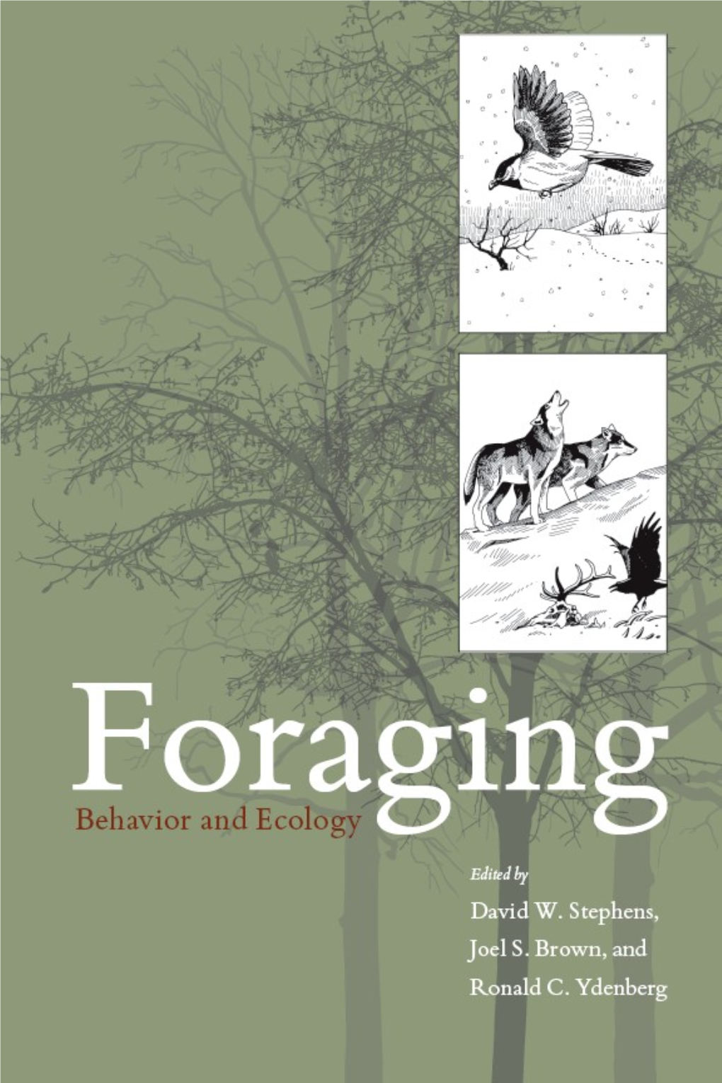 Foraging : Behavior and Ecology / [Edited By] David W