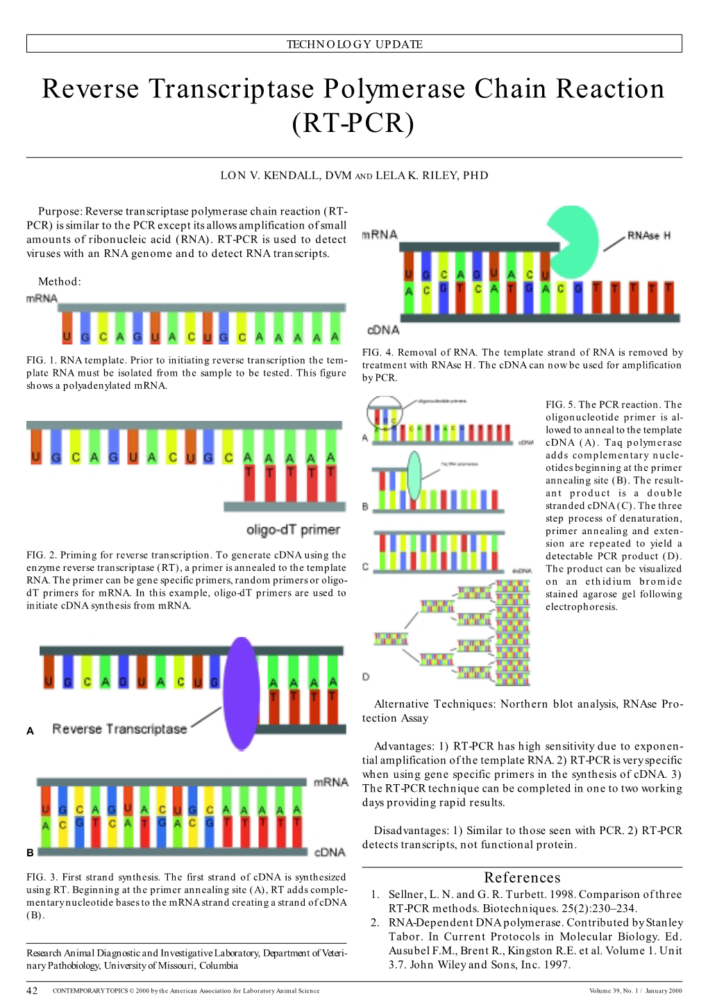 Reverse Transcriptase Polymerase Chain Reaction (RT-PCR)