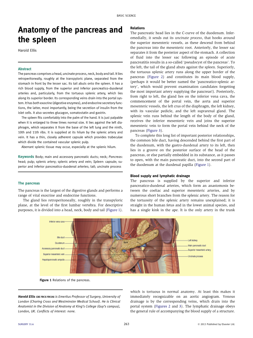 Anatomy of the Pancreas and the Spleen