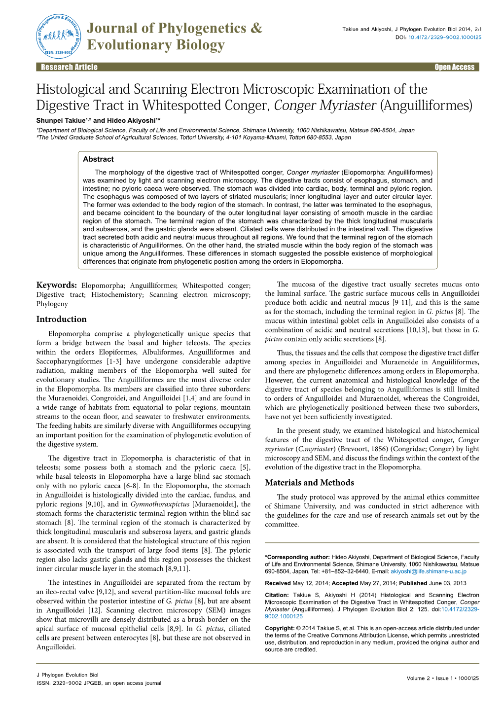 Histological and Scanning Electron Microscopic Examination of The