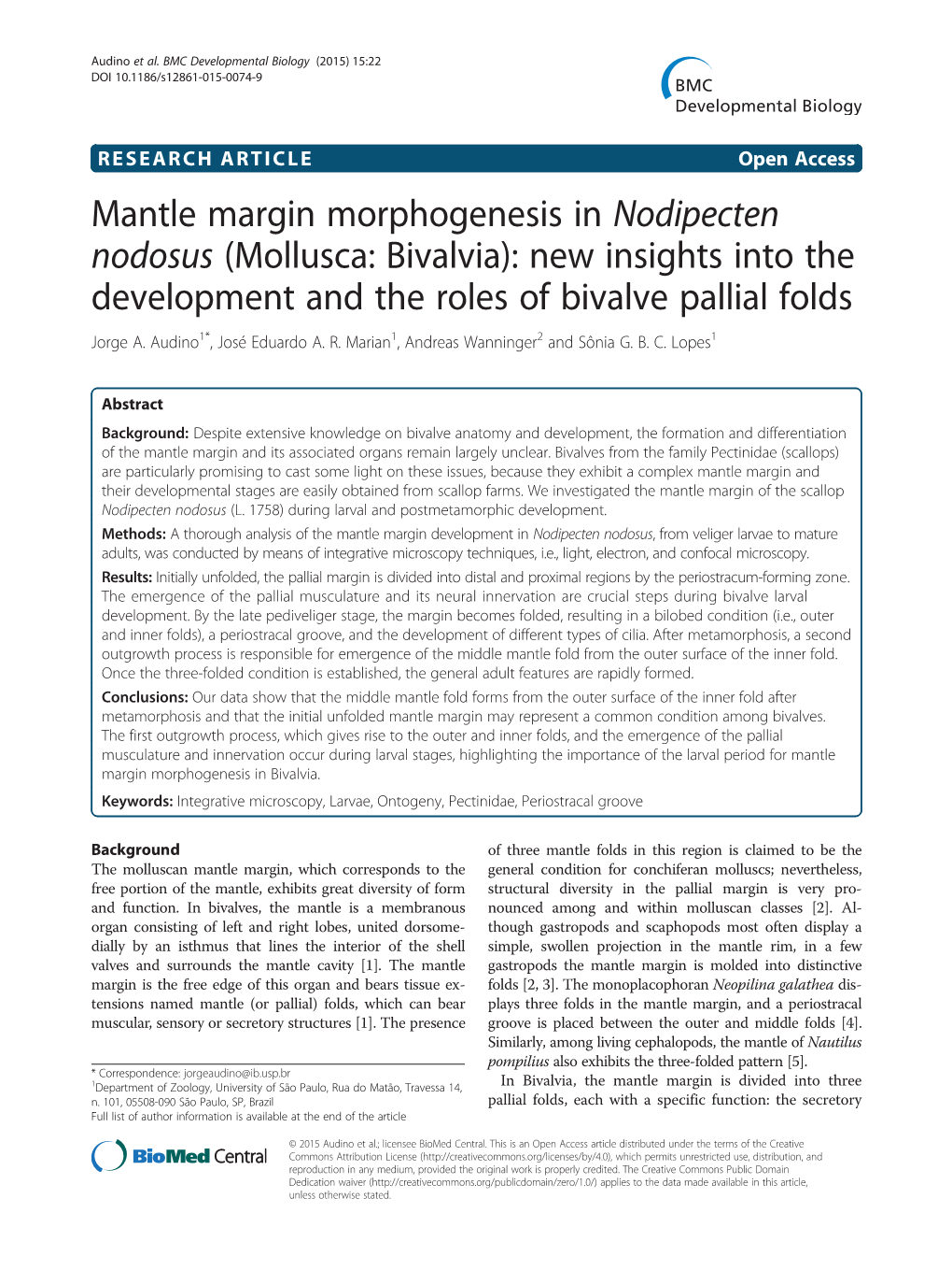 Mantle Margin Morphogenesis in Nodipecten Nodosus (Mollusca: Bivalvia): New Insights Into the Development and the Roles of Bivalve Pallial Folds Jorge A