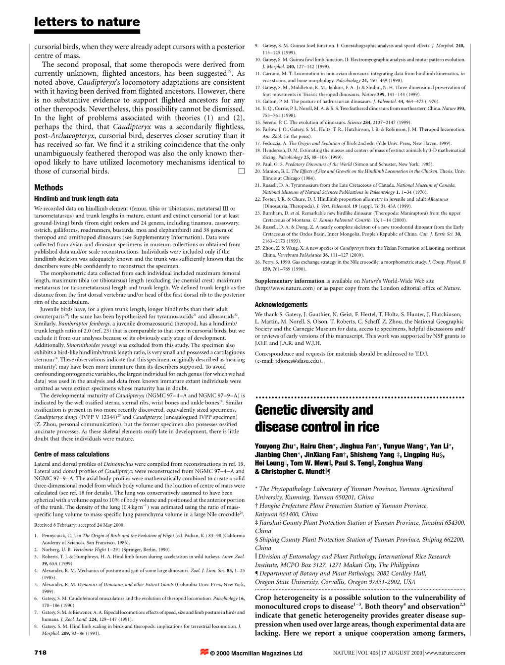 Genetic Diversity and Disease Control in Rice