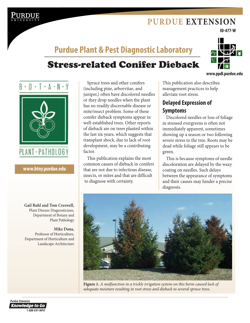 Stress-Related Conifer Dieback