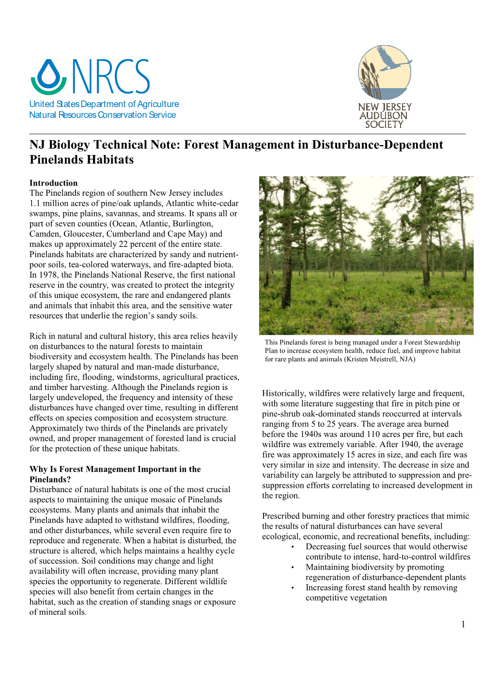 Forestry in Disturbance Dependent Pinelands