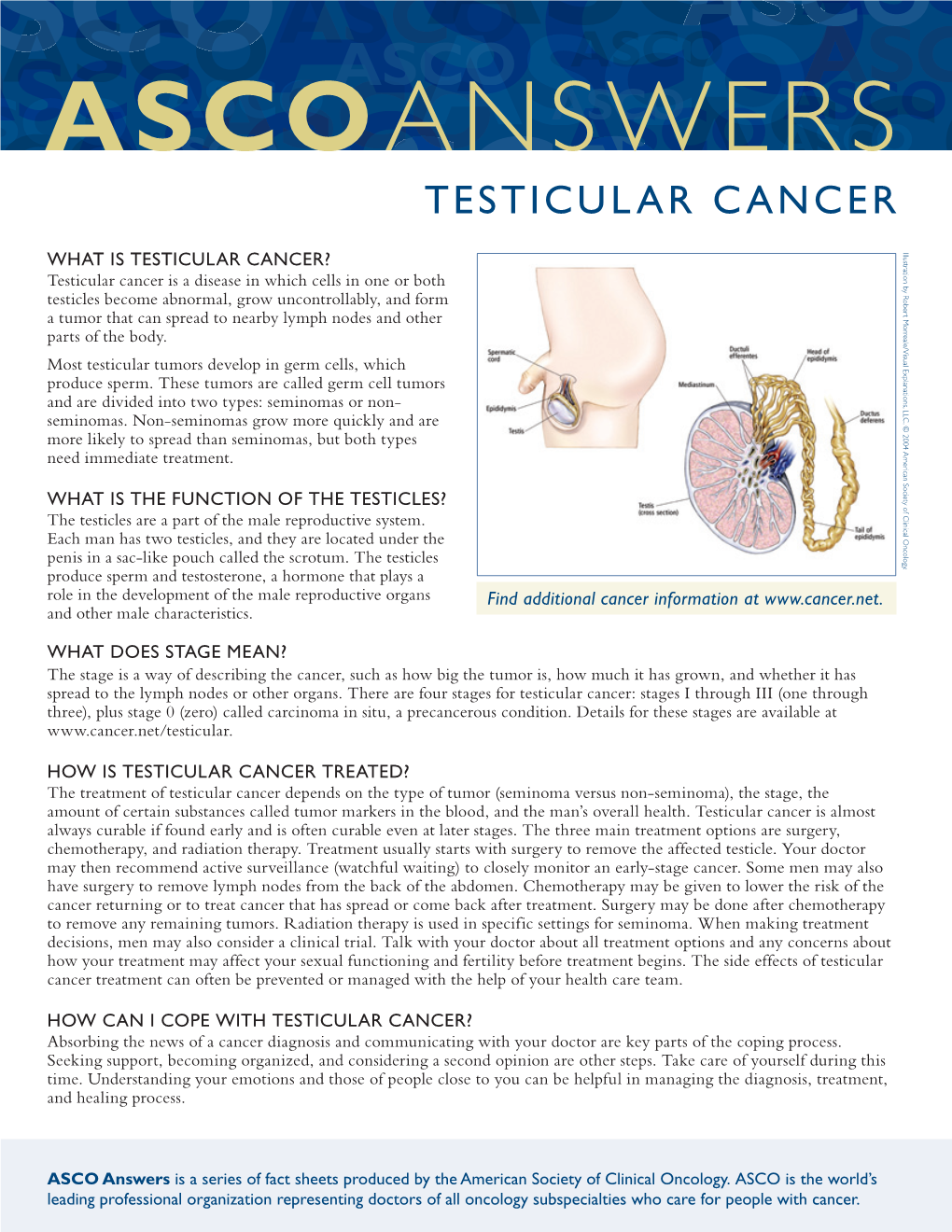 Ascoanswers Testicular Cancer