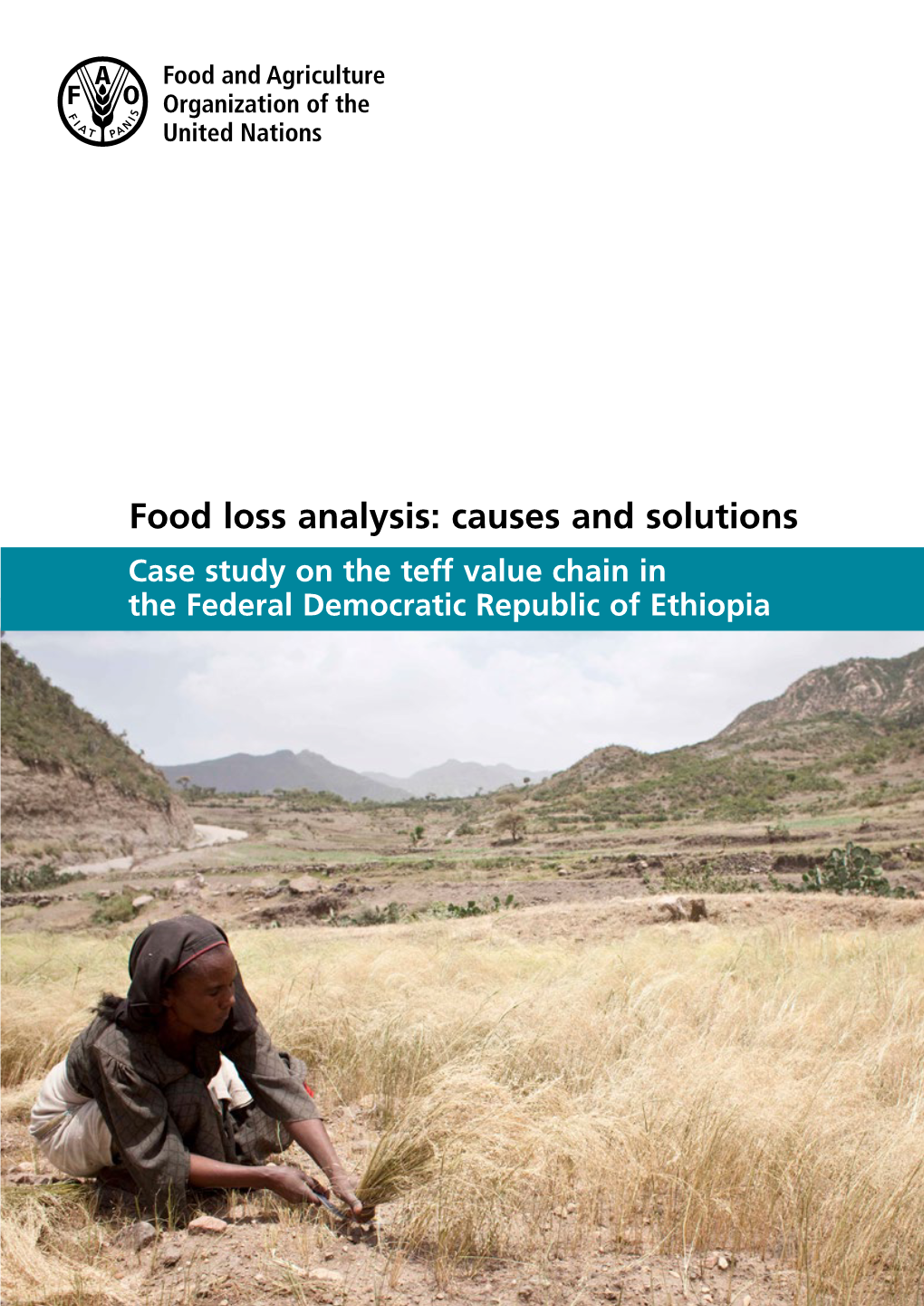 Food Loss Analysis: Causes and Solutions Case Study on the Teff Value Chain in the Federal Democratic Republic of Ethiopia