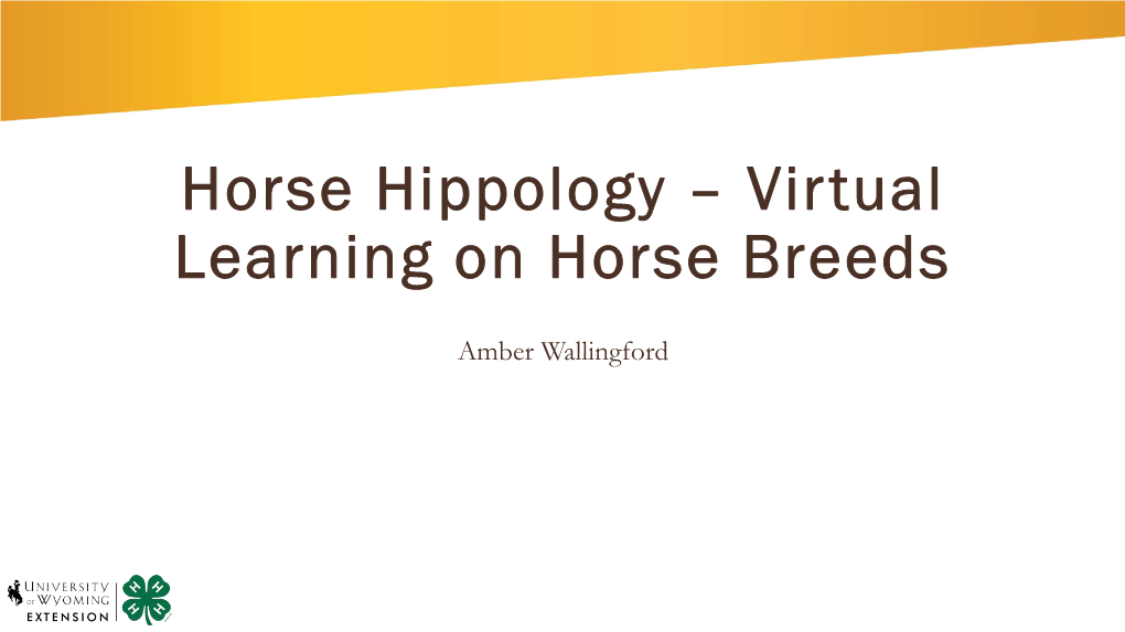 Horse Hippology – Virtual Learning on Horse Breeds