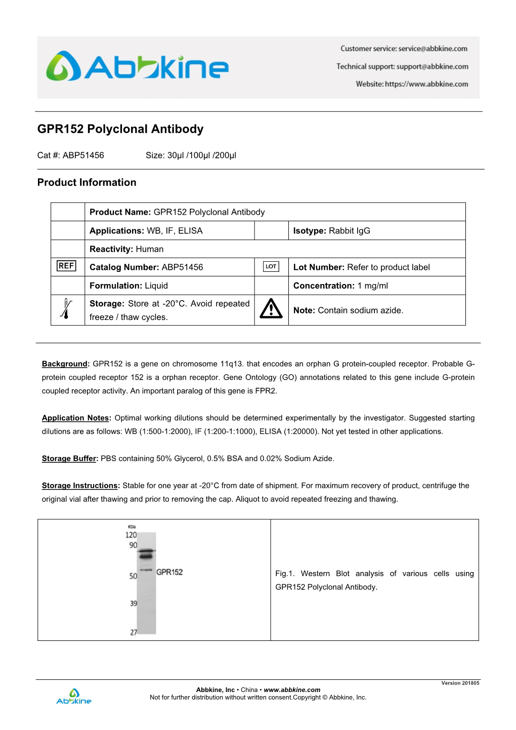 GPR152 Polyclonal Antibody