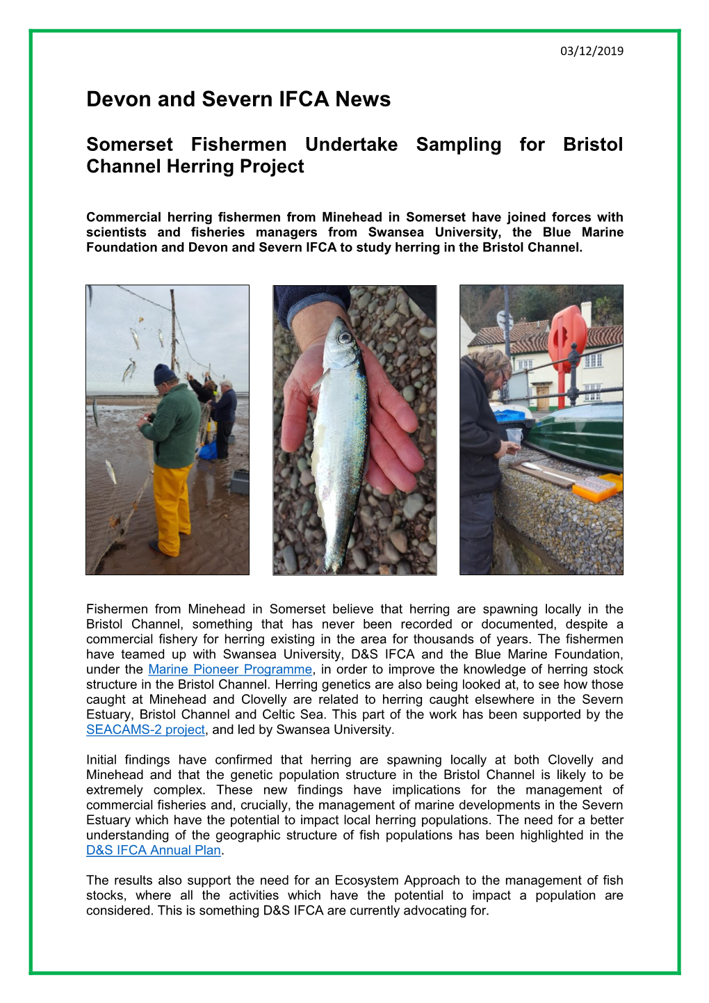 Bristol Channel Herring Project.Pdf