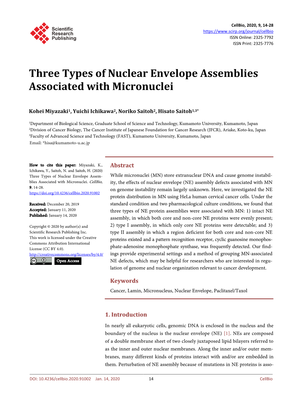 Three Types of Nuclear Envelope Assemblies Associated with Micronuclei