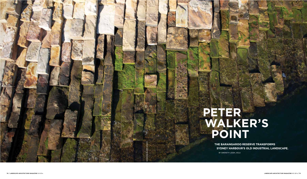 Peter Walker's Point