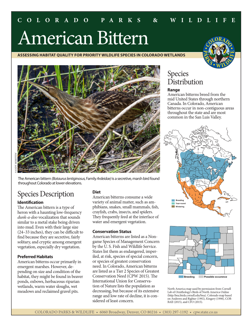 American Bittern ASSESSING HABITAT QUALITY for PRIORITY WILDLIFE SPECIES in COLORADO WETLANDS