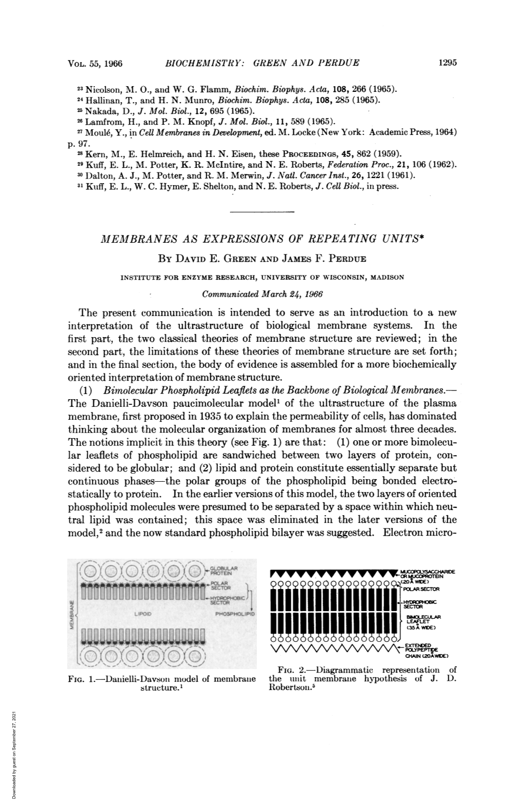 Phospholipid Molecules Were Presumed to Be Separated