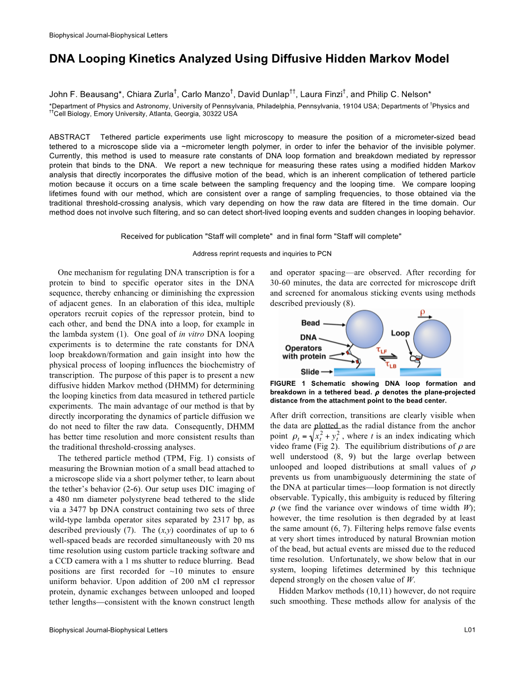 DNA Looping Kinetics Analyzed Using Diffusive Hidden Markov Model