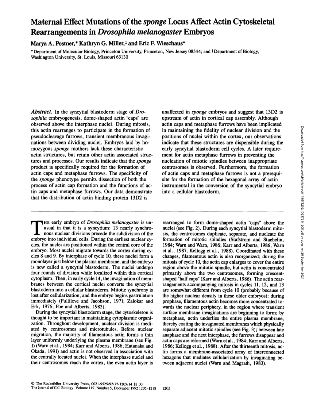 Rearrangements in Drosophila Melanogaster Embryos Marya A