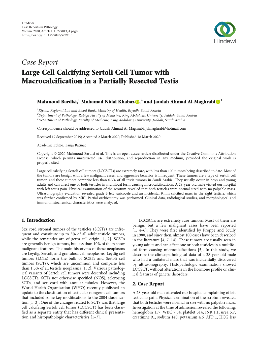 Large Cell Calcifying Sertoli Cell Tumor with Macrocalcification in a Partially Resected Testis